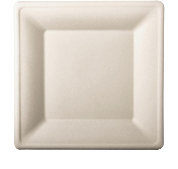 Teller aus Zuckerrohr weiss 26cmx26cm