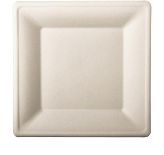 Teller aus Zuckerrohr weiss 26cmx26cm